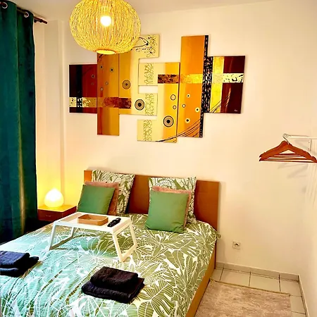 Appartamento De Charme Proche De La Gare-internet Débit Reims